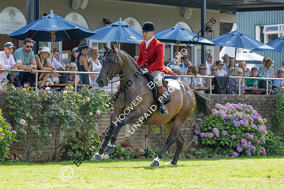The Agria Royal International Horse Show
