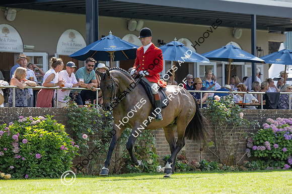 The Agria Royal International Horse Show