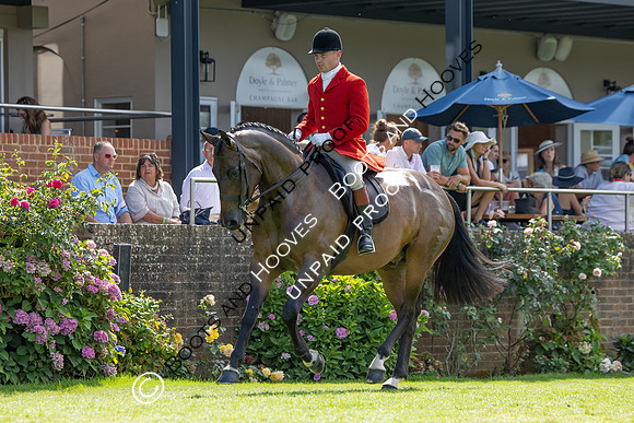 The Agria Royal International Horse Show