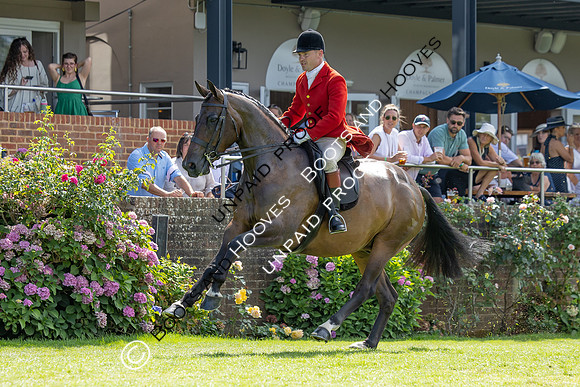The Agria Royal International Horse Show