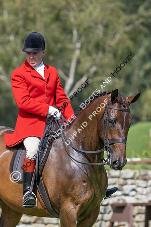 The Agria Royal International Horse Show