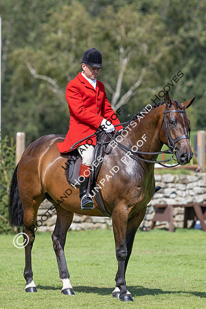 The Agria Royal International Horse Show