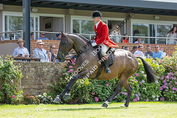 The Agria Royal International Horse Show