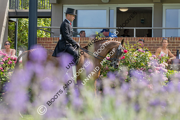 The Agria Royal International Horse Show