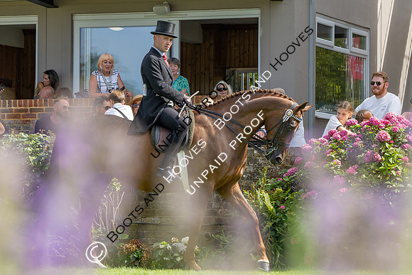 The Agria Royal International Horse Show
