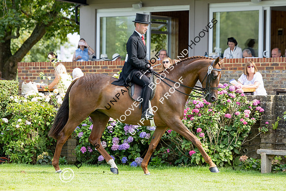 The Agria Royal International Horse Show