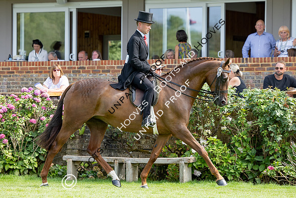 The Agria Royal International Horse Show