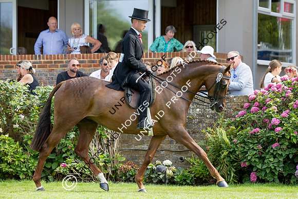 The Agria Royal International Horse Show
