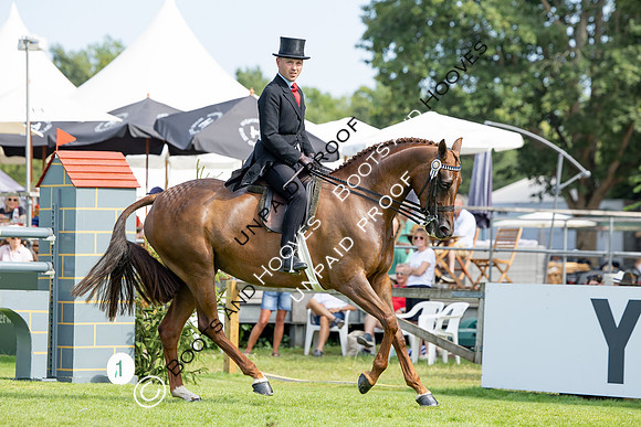 The Agria Royal International Horse Show