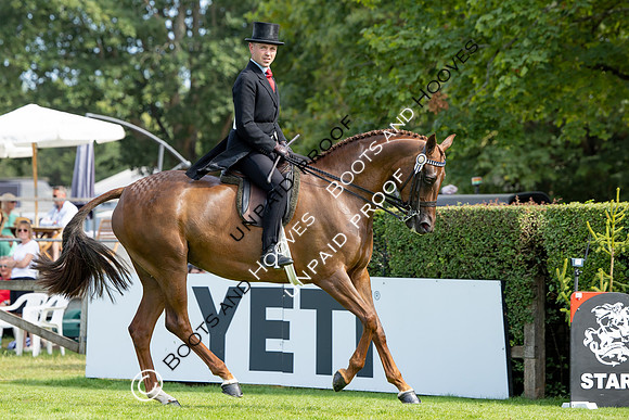 The Agria Royal International Horse Show