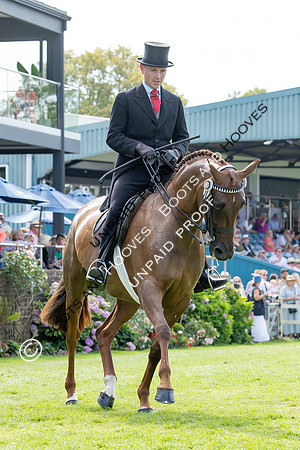 The Agria Royal International Horse Show