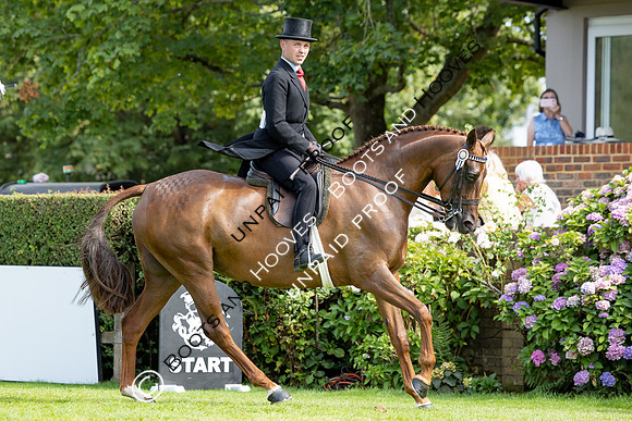 The Agria Royal International Horse Show