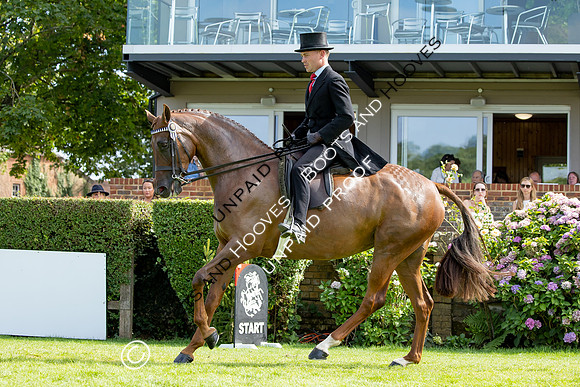 The Agria Royal International Horse Show