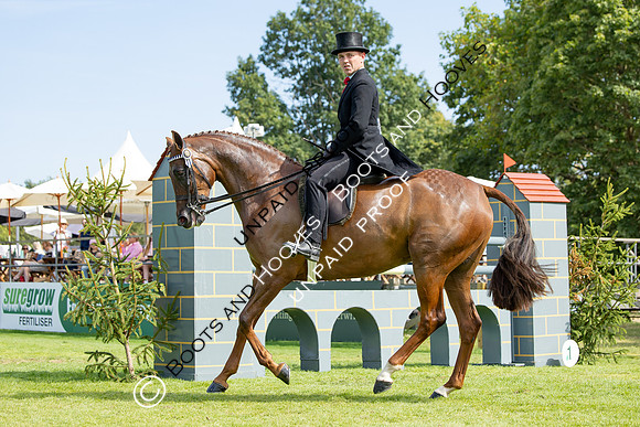 The Agria Royal International Horse Show