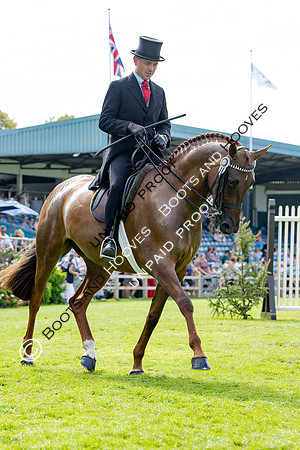 The Agria Royal International Horse Show