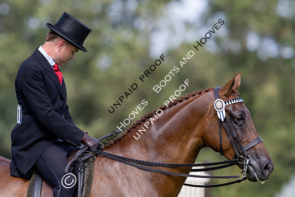 The Agria Royal International Horse Show