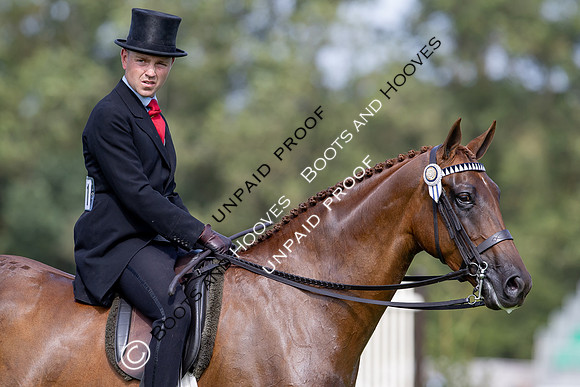 The Agria Royal International Horse Show