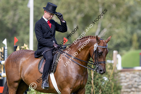 The Agria Royal International Horse Show
