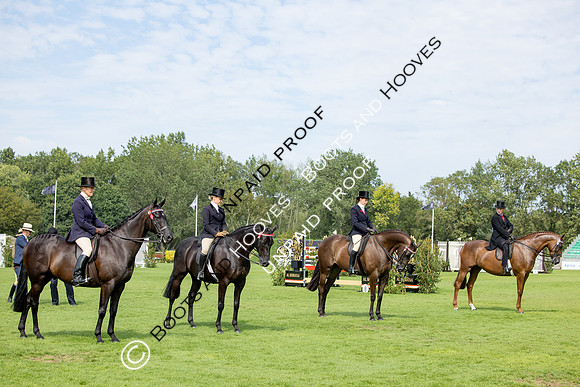 The Agria Royal International Horse Show