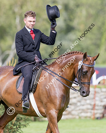 The Agria Royal International Horse Show