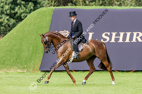 The Agria Royal International Horse Show