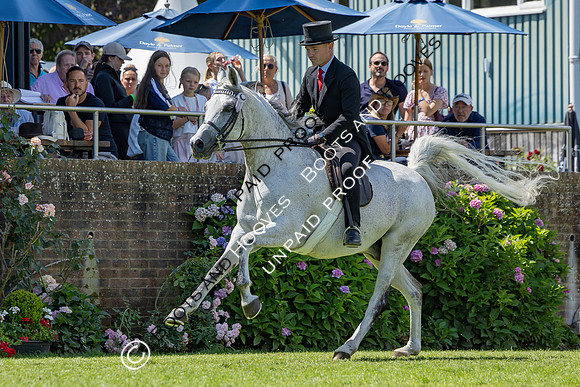 The Agria Royal International Horse Show