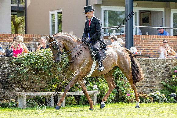 The Agria Royal International Horse Show