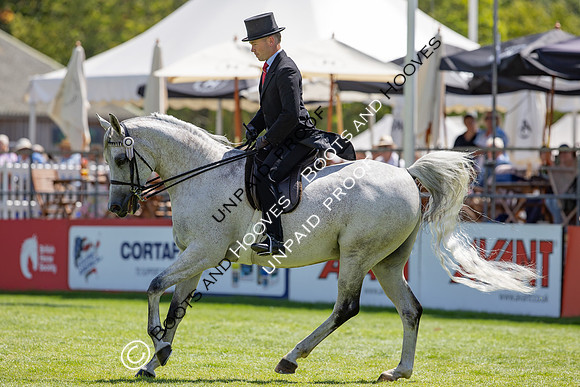 The Agria Royal International Horse Show
