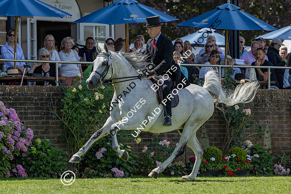 The Agria Royal International Horse Show