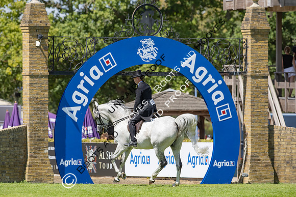 The Agria Royal International Horse Show