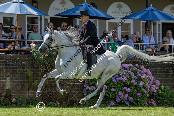 The Agria Royal International Horse Show