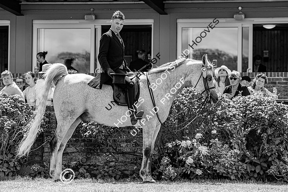 The Agria Royal International Horse Show