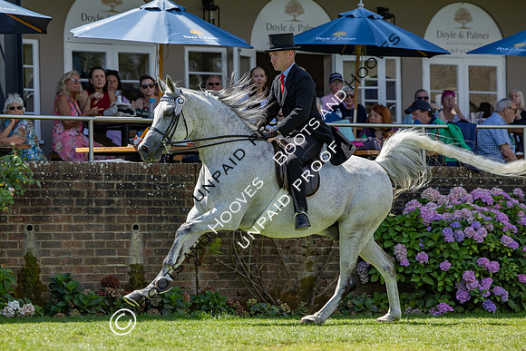 The Agria Royal International Horse Show