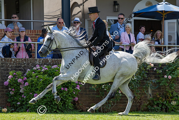 The Agria Royal International Horse Show
