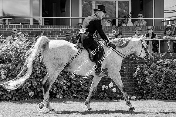 The Agria Royal International Horse Show