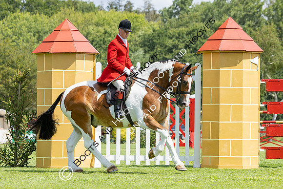 The Agria Royal International Horse Show