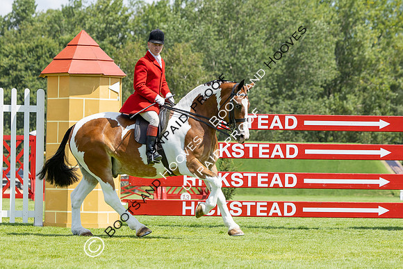 The Agria Royal International Horse Show