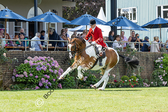The Agria Royal International Horse Show