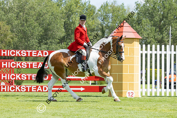 The Agria Royal International Horse Show