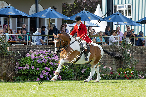 The Agria Royal International Horse Show