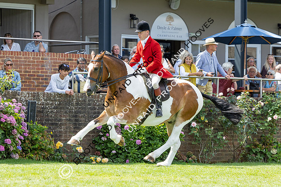 The Agria Royal International Horse Show