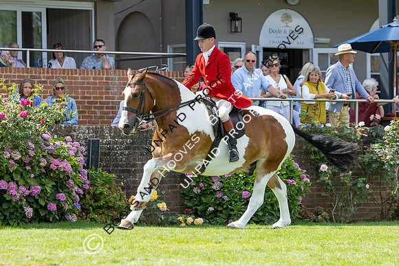 The Agria Royal International Horse Show