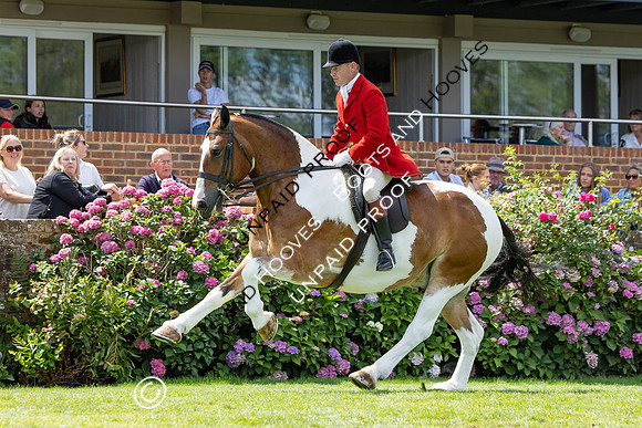 The Agria Royal International Horse Show