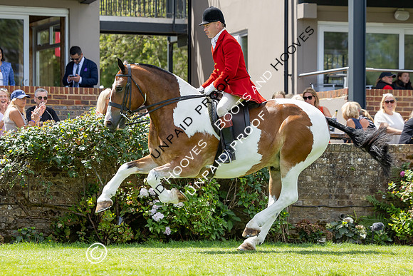 The Agria Royal International Horse Show