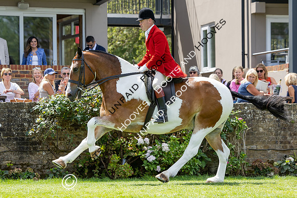 The Agria Royal International Horse Show