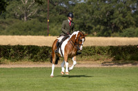 The Agria Royal International Horse Show