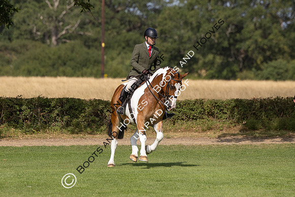 The Agria Royal International Horse Show