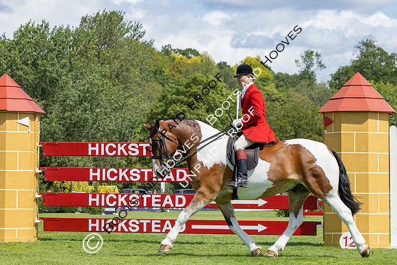 The Agria Royal International Horse Show