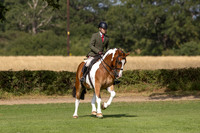 The Agria Royal International Horse Show