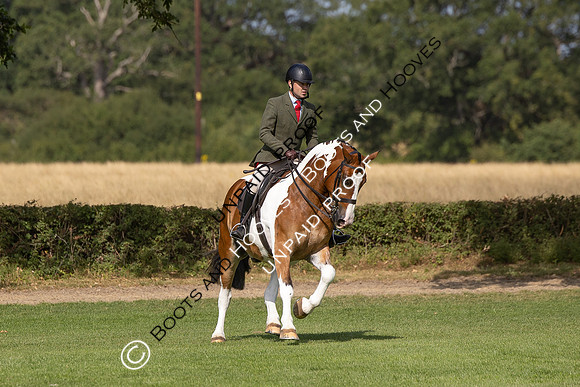 The Agria Royal International Horse Show